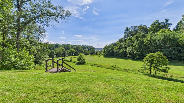 295 Kipling Cir S, Eddyville, KY 42038 - photo 90