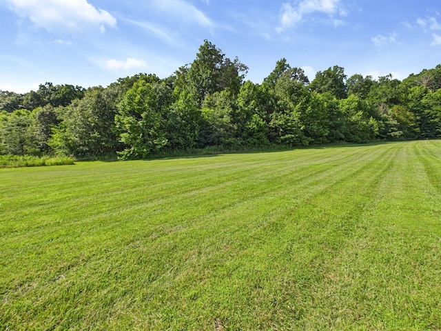 295 Kipling Cir S, Eddyville, KY 42038 - photo 91