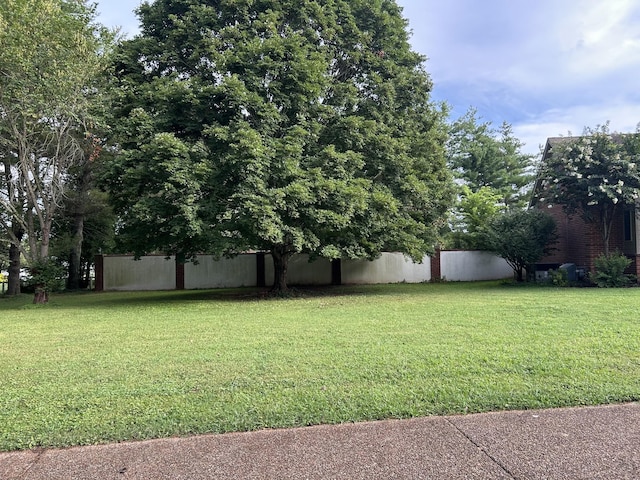 2329 Irby Ln, Murfreesboro, TN 37127 - photo 3