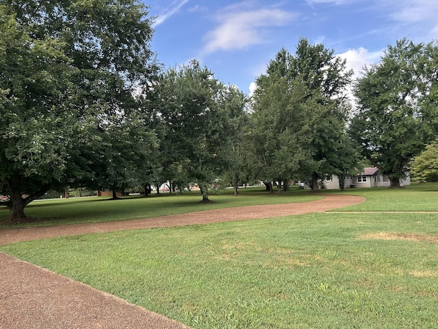 2329 Irby Ln, Murfreesboro, TN 37127 - photo 2