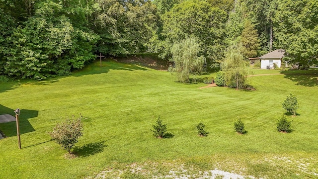 2366 Stults Branch Rd, Iron City, TN 38463 - photo 17