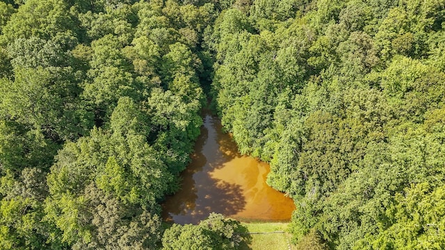 2366 Stults Branch Rd, Iron City, TN 38463 - photo 56
