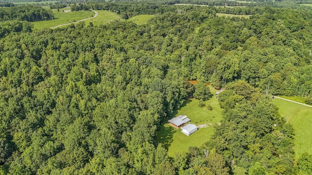 2366 Stults Branch Rd, Iron City, TN 38463 - photo 58