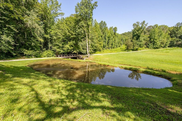 2366 Stults Branch Rd, Iron City, TN 38463 - photo 75
