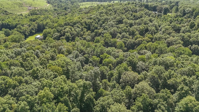 2366 Stults Branch Rd, Iron City, TN 38463 - photo 53