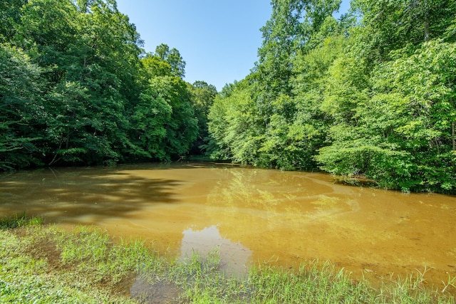 2366 Stults Branch Rd, Iron City, TN 38463 - photo 14