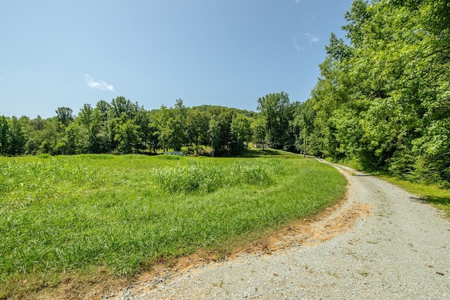2366 Stults Branch Rd, Iron City, TN 38463 - photo 69