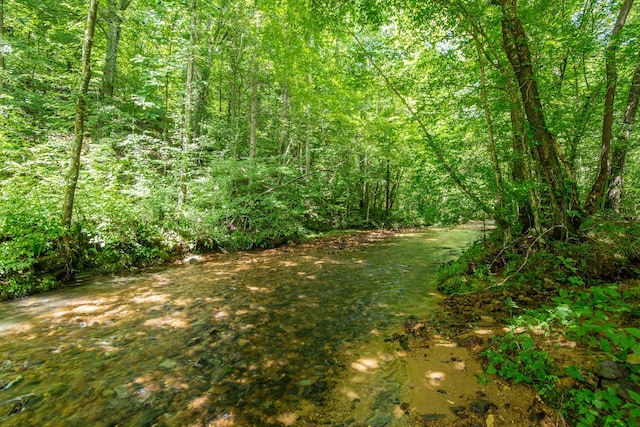 2366 Stults Branch Rd, Iron City, TN 38463 - photo 22