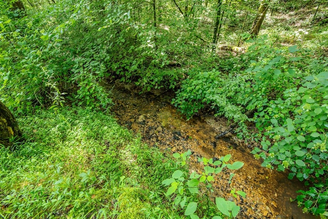 2366 Stults Branch Rd, Iron City, TN 38463 - photo 92