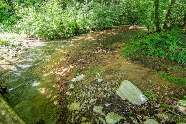 2366 Stults Branch Rd, Iron City, TN 38463 - photo 72