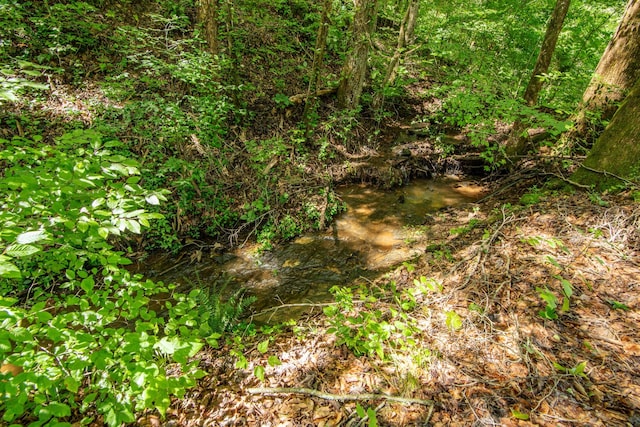 2366 Stults Branch Rd, Iron City, TN 38463 - photo 83