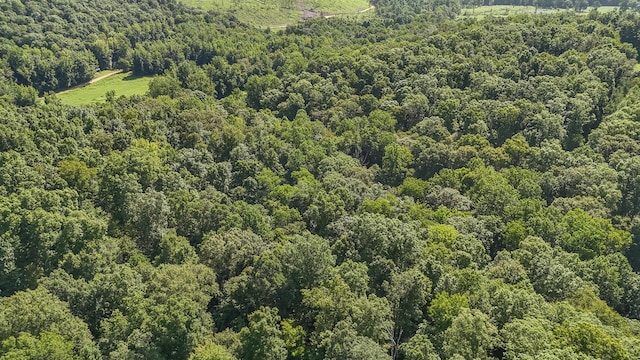 2366 Stults Branch Rd, Iron City, TN 38463 - photo 54