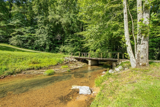 2366 Stults Branch Rd, Iron City, TN 38463 - photo 6