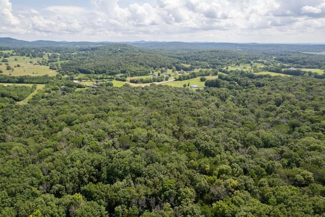 0 Trammel, Watertown, TN 37184 - photo 9