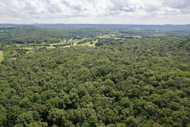 0 Trammel, Watertown, TN 37184 - photo 8