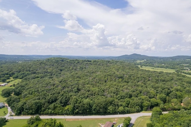 0 Trammel, Watertown, TN 37184 - photo 13