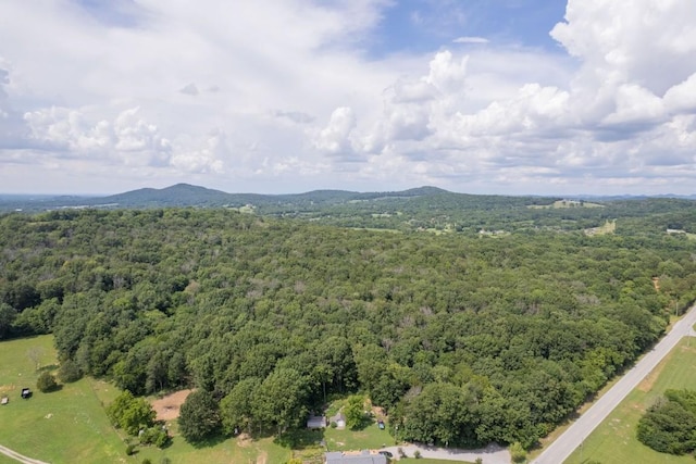 0 Trammel, Watertown, TN 37184 - photo 12