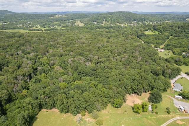 0 Trammel, Watertown, TN 37184 - photo 4
