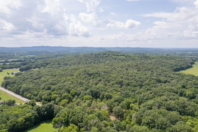 0 Trammel, Watertown, TN 37184 - photo 15