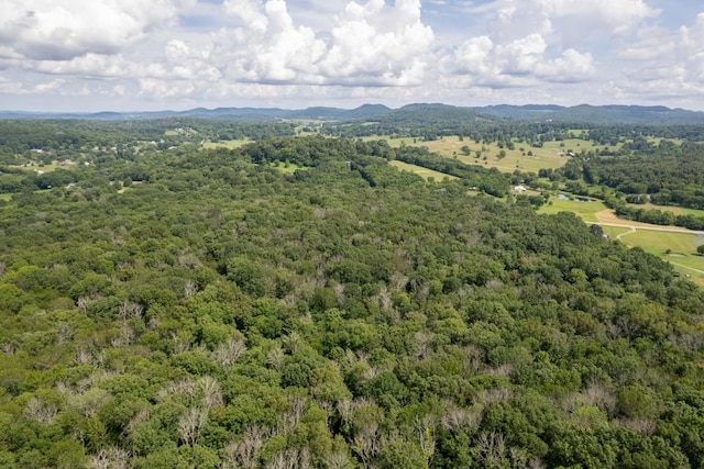 0 Trammel, Watertown, TN 37184 - photo 11
