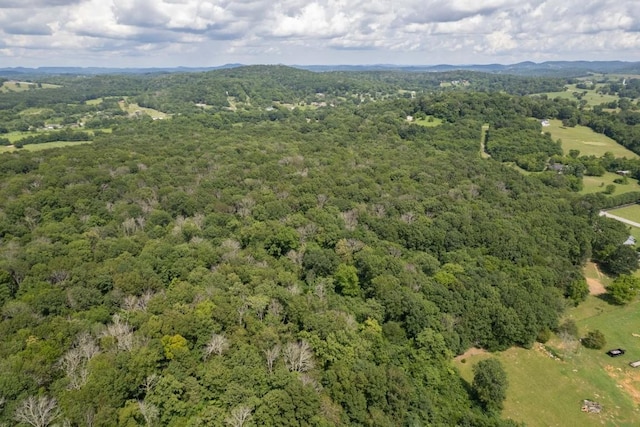 0 Trammel, Watertown, TN 37184 - photo 5