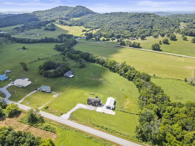 440 Honeysuckle Lane Rd, Bethpage, TN 37022 - photo 3