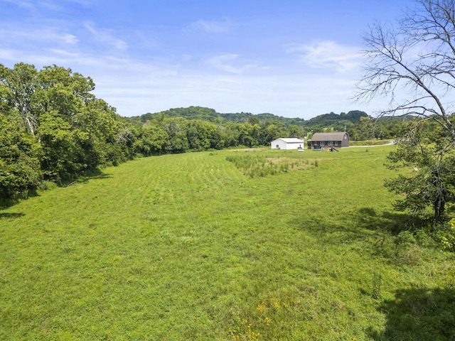 440 Honeysuckle Lane Rd, Bethpage, TN 37022 - photo 52