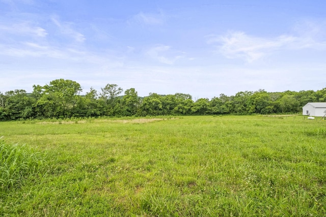 440 Honeysuckle Lane Rd, Bethpage, TN 37022 - photo 48