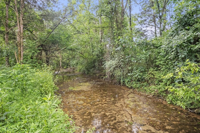 440 Honeysuckle Lane Rd, Bethpage, TN 37022 - photo 51