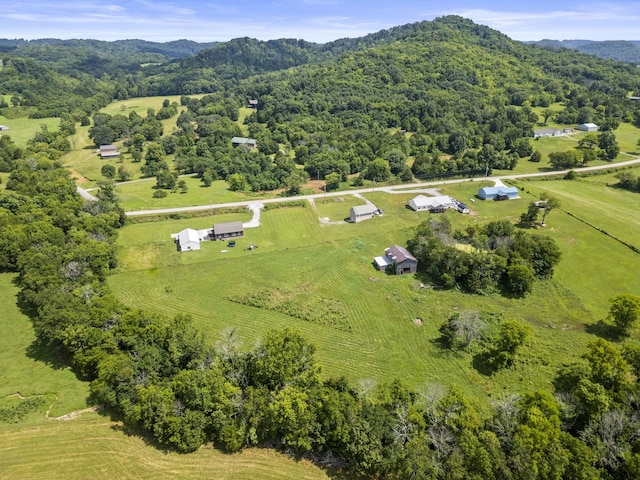 440 Honeysuckle Lane Rd, Bethpage, TN 37022 - photo 54