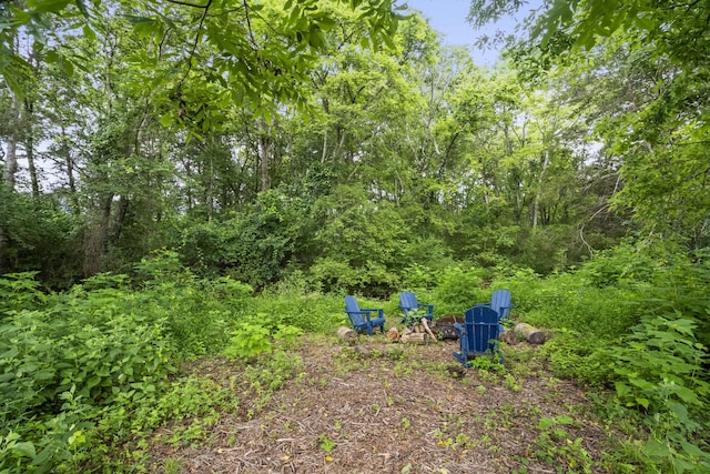 440 Honeysuckle Lane Rd, Bethpage, TN 37022 - photo 50