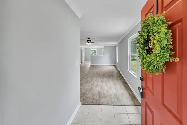 5519 Middlebury Dr, Murfreesboro, TN 37128 - photo 5