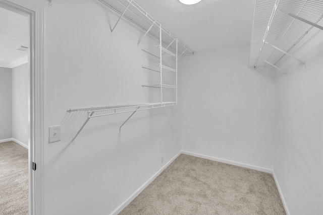 5519 Middlebury Dr, Murfreesboro, TN 37128 - photo 22