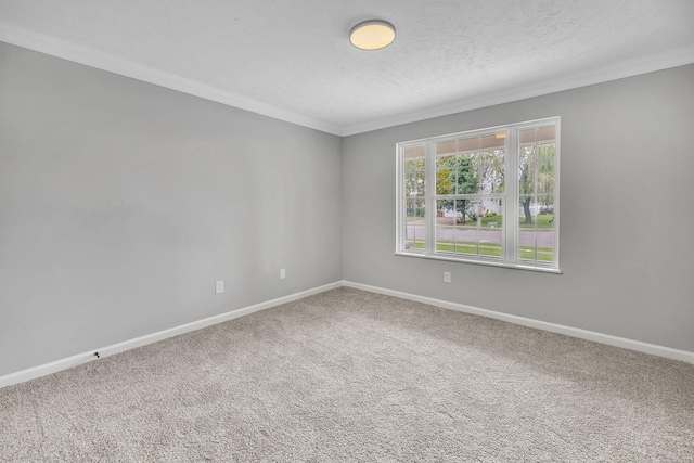 5519 Middlebury Dr, Murfreesboro, TN 37128 - photo 23