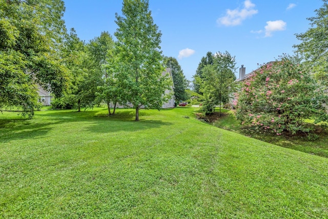 5519 Middlebury Dr, Murfreesboro, TN 37128 - photo 29