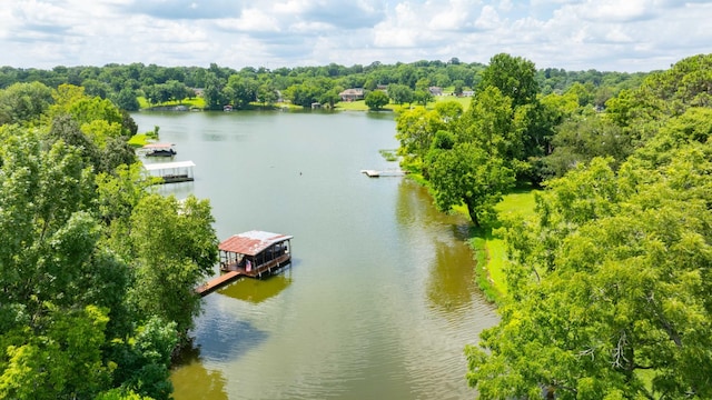 214 Bluegrass Dr, Hendersonville, TN 37075 - photo 5