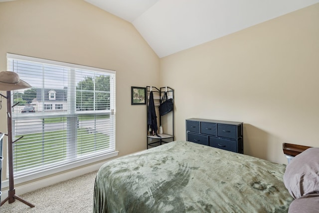 412 Long Creek Dr, Christiana, TN 37037 - photo 25