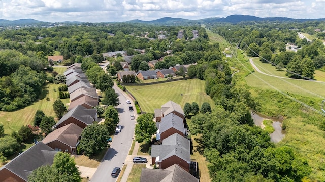 9738 Northfork Dr, Brentwood, TN 37027 - photo 12