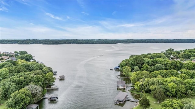 104 Breakwater N, Hendersonville, TN 37075 - photo 40