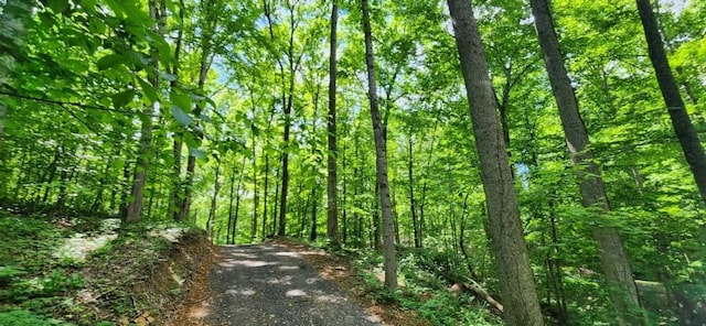 0 Magamor Dr, Lafayette, TN 37083 - photo 1