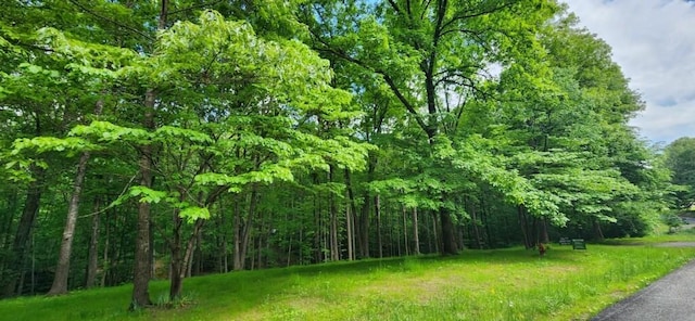 0 Magamor Dr, Lafayette, TN 37083 - photo 4