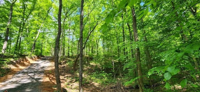 0 Magamor Dr, Lafayette, TN 37083 - photo 5