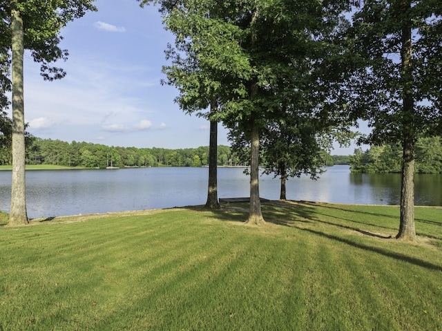 115 Excalibur Trl, Cedar Grove, TN 38321 - photo 46