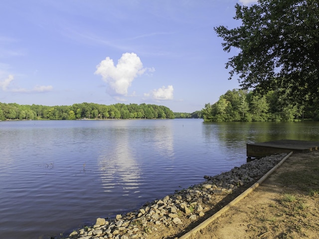 115 Excalibur Trl, Cedar Grove, TN 38321 - photo 45