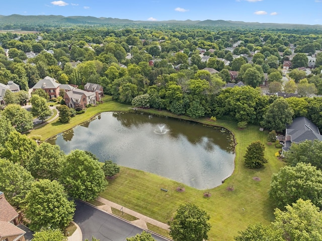 1802 Thornbrook Ln, Franklin, TN 37064 - photo 100