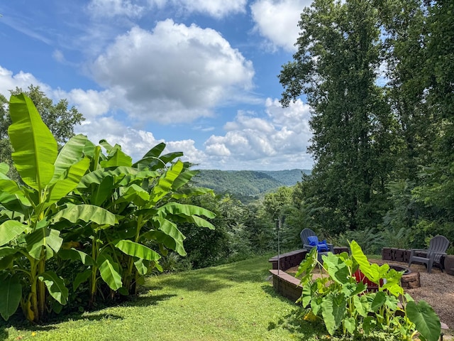 392 Oak Dr, Smithville, TN 37166 - photo 29