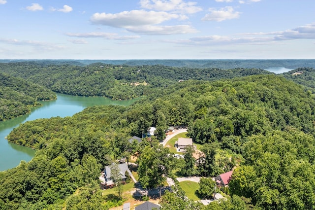 392 Oak Dr, Smithville, TN 37166 - photo 53