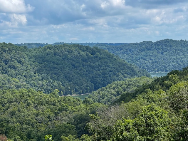 392 Oak Dr, Smithville, TN 37166 - photo 30