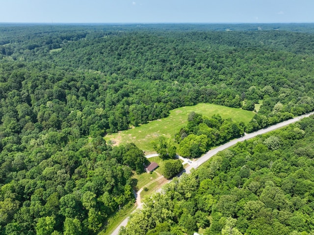 3822 Vernon Creek Rd, Cunningham, TN 37052 - photo 18