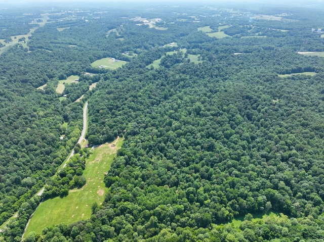 3822 Vernon Creek Rd, Cunningham, TN 37052 - photo 16